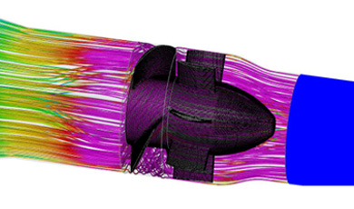 cp.jpg